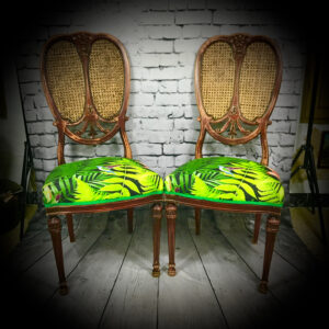 2 rattan/jungle chairs