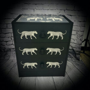 3 dr leopard unit 250826